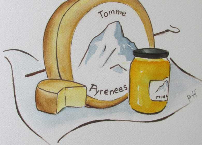 Fromages et miels des Pyrénées