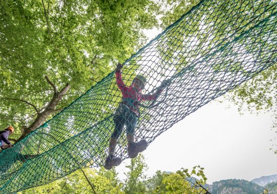 Recreational Tree Climbing - Common Ground Adventures