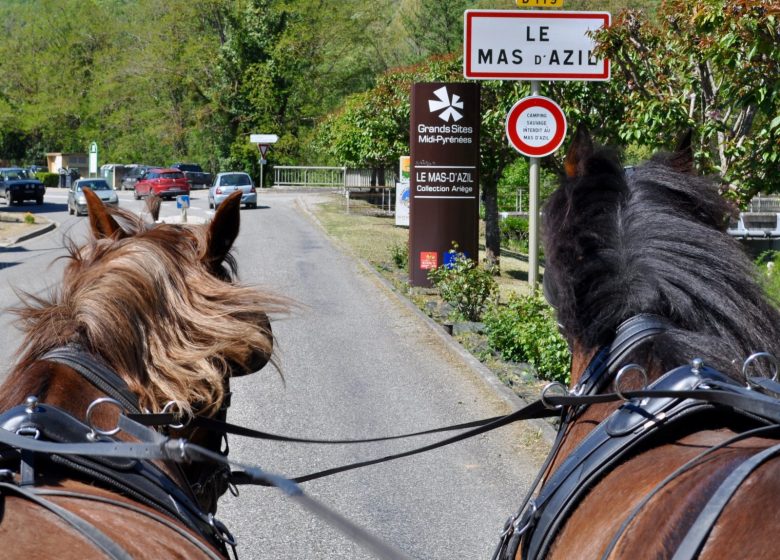 Cheval en Rênes