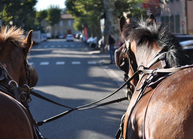 Cheval en Rênes