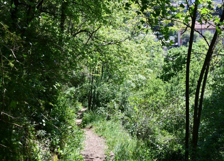 Les terrasses du Pech