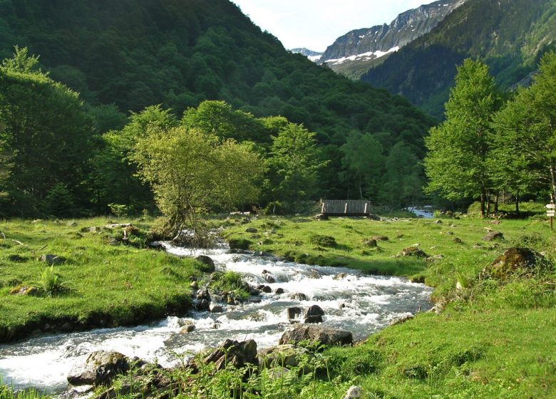 La vallée du Ribérot