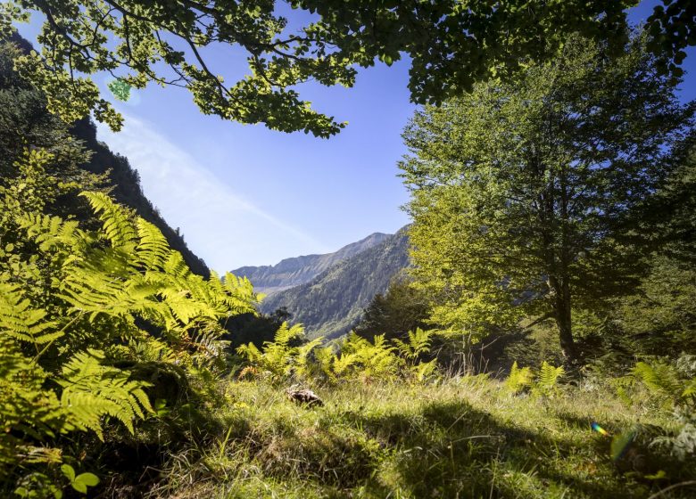 La vallée du Ribérot