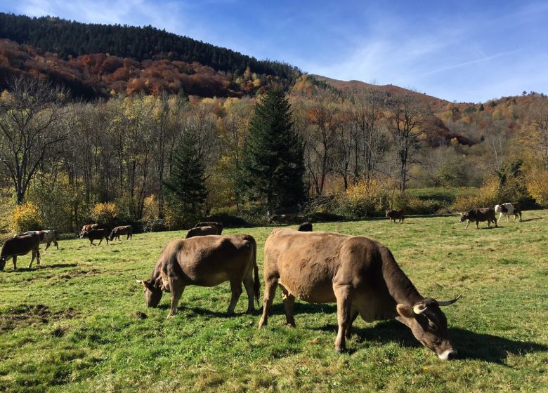 Ferme Les Vieux Prés