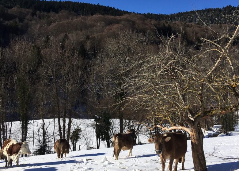 Ferme Les Vieux Prés