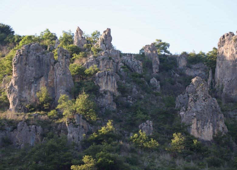 Demoiselles de Caraybat