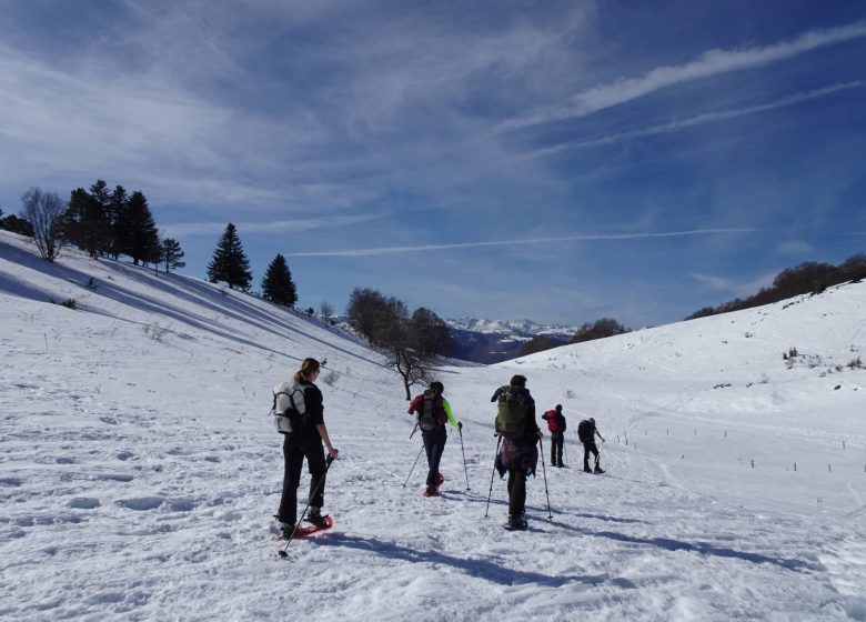 Guides Pyrénées Sensations