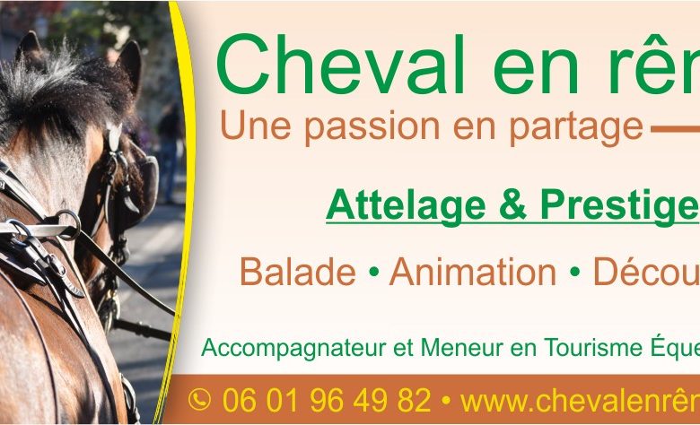 Cheval en Rênes