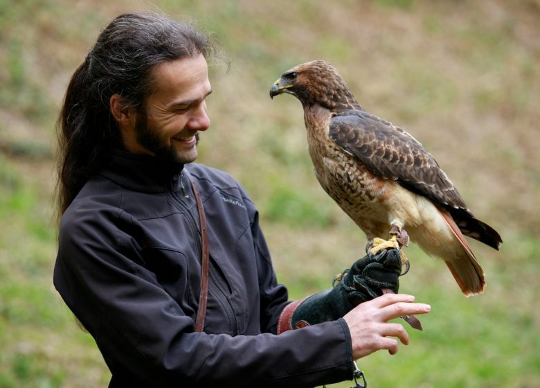 Plume et Cimes – Stages d’initiation à la fauconnerie