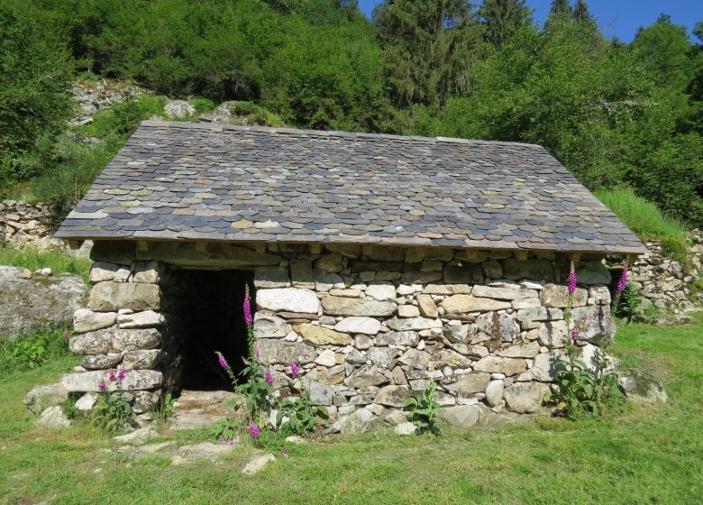 Association pour la sauvegarde du courtal de Peyre Auselère