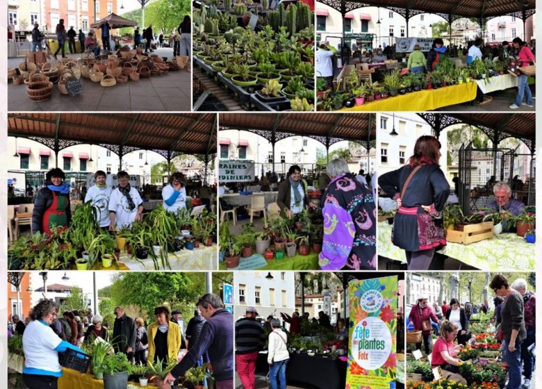 Fête des plantes