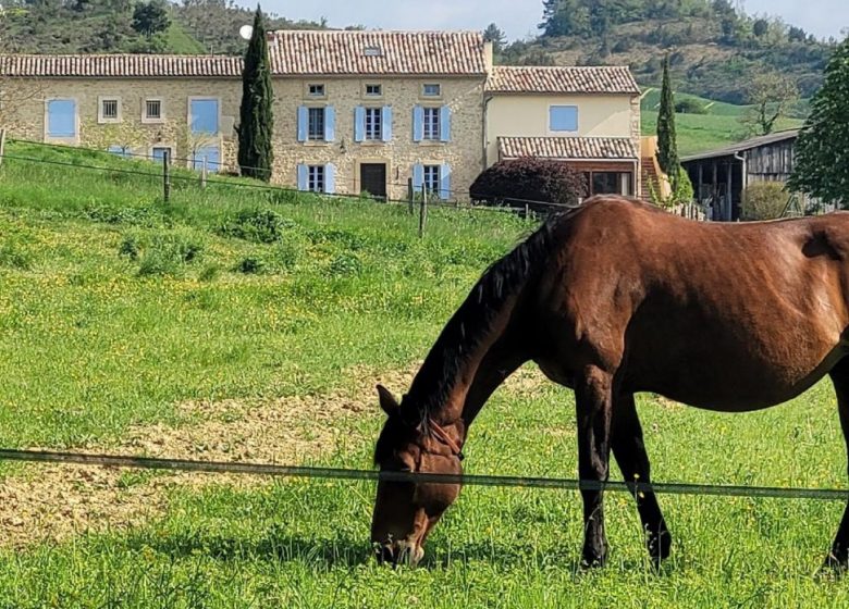 Week-End Bohème à la Ferme – Sud France