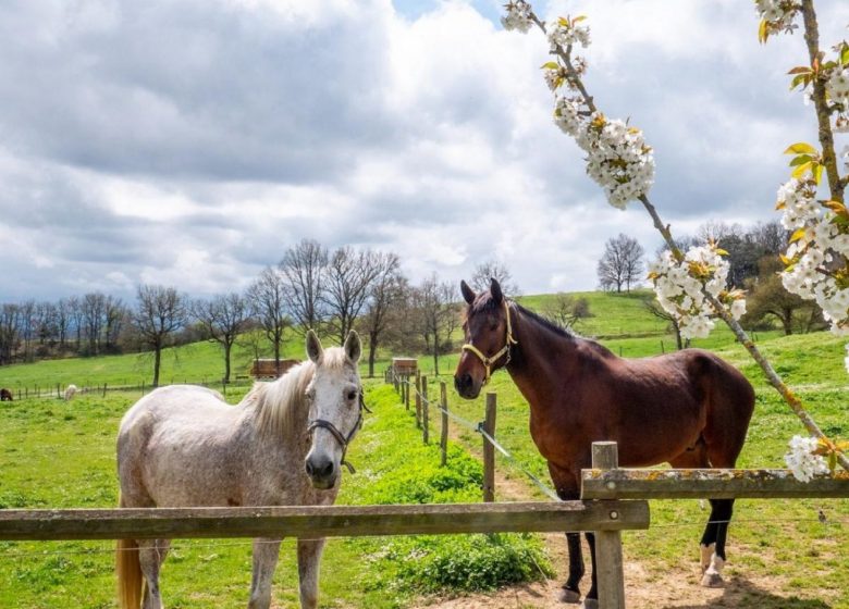 Week-End Bohème à la Ferme – Sud France