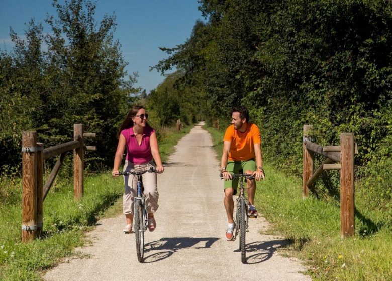 L’Ariège à Vélo Electrique, entre découverte et détente – Sud Francee