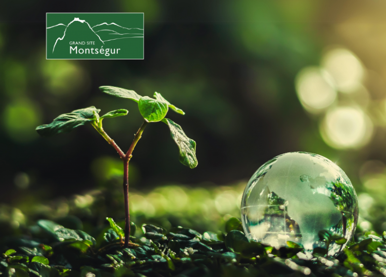 Entreprendre pour la biodiversité