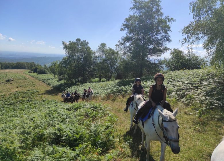 Camp jeunes avec Les crins en soi Nature-Cheval