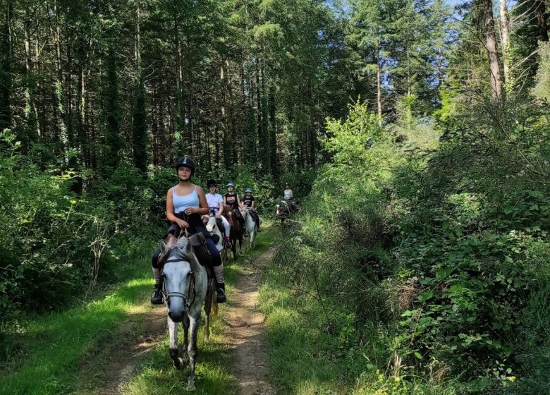 Camp jeunes avec Les crins en soi Nature-Cheval