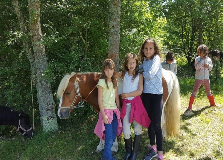 Les poneys voyageurs pour les 6/9 ans – Evasion Vacances