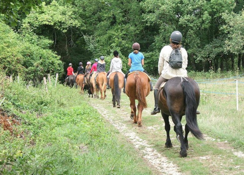 Les poneys voyageurs pour les 6/9 ans – Evasion Vacances