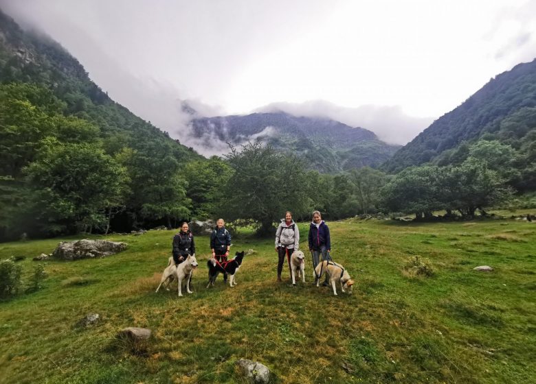 La Cani-randonnée – Terre sauvage