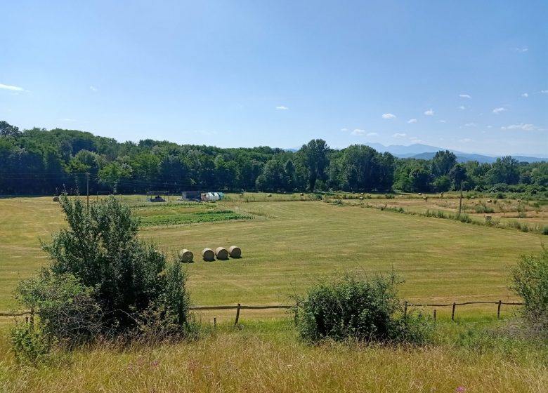 Centre agro-environnemental de Brassacou