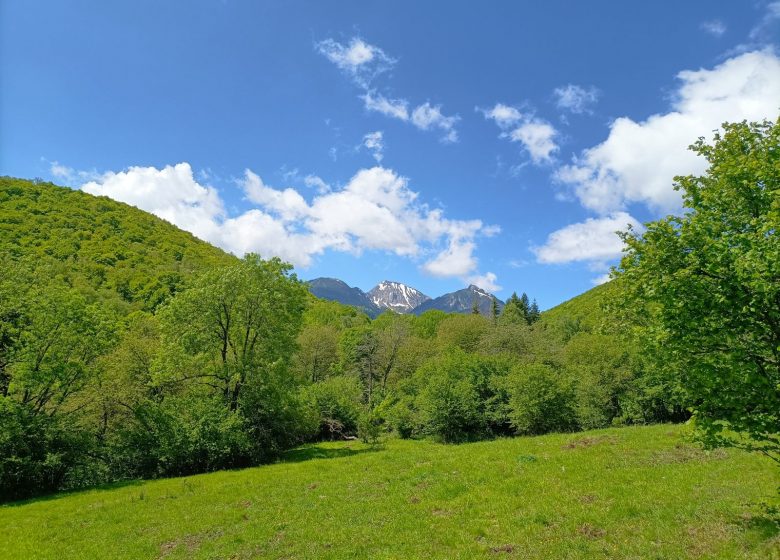 Falaise d’escalade de Mijanès-Donezan