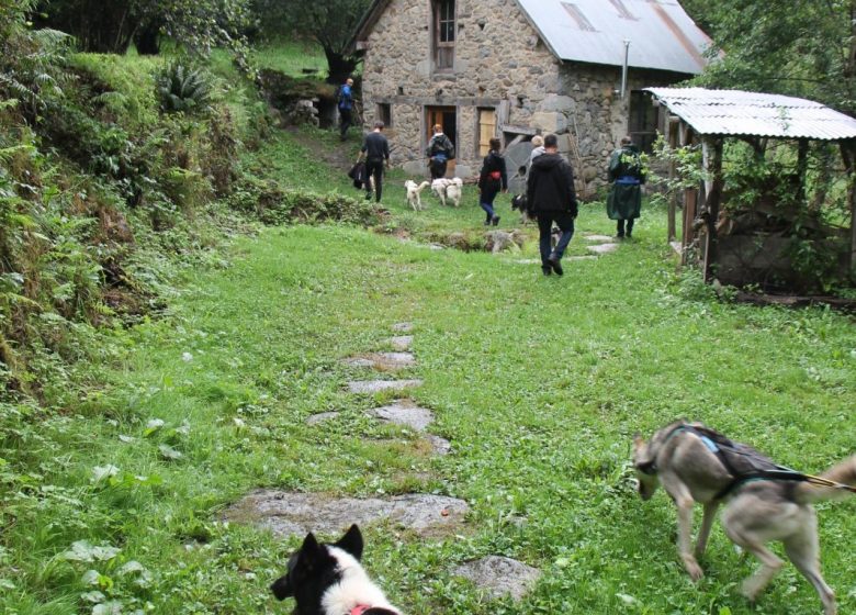 Cani-Randonnée avec Terre Sauvage