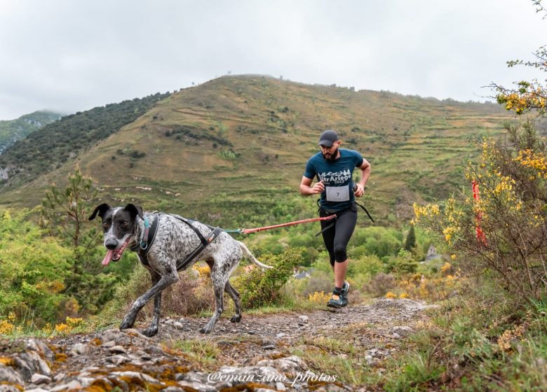 Cani-Cross avec Terre Sauvage