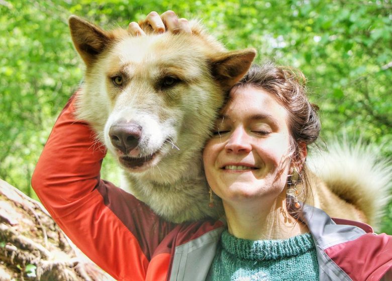 Terre sauvage, activités avec nos chiens de traîneau