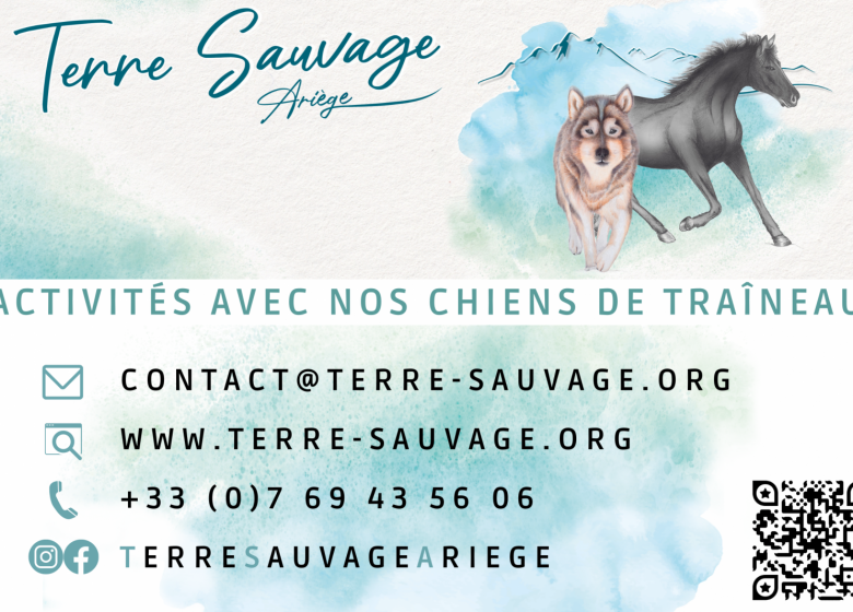 Terre sauvage, activités avec nos chiens de traîneau