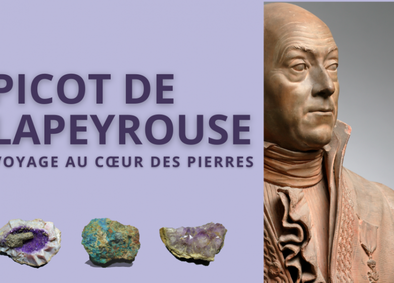 Exposition « Picot de Lapeyrouse »