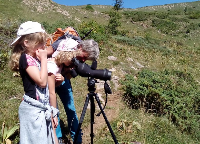 Rando mini journée « Sur les traces des marmottes »