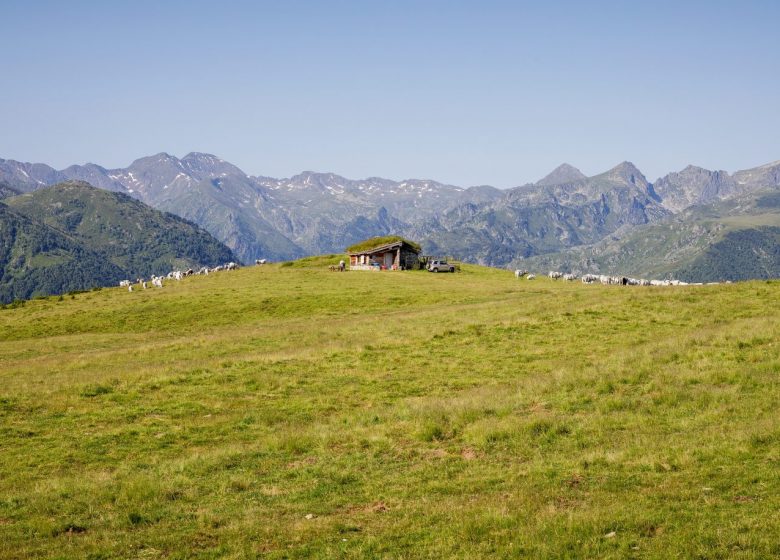 Les activités en été au Plateau de Beille