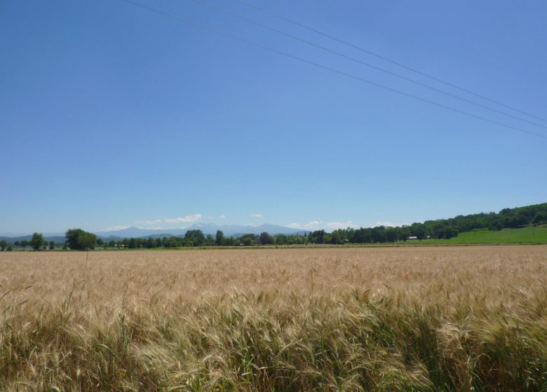 Gîte Le Rous