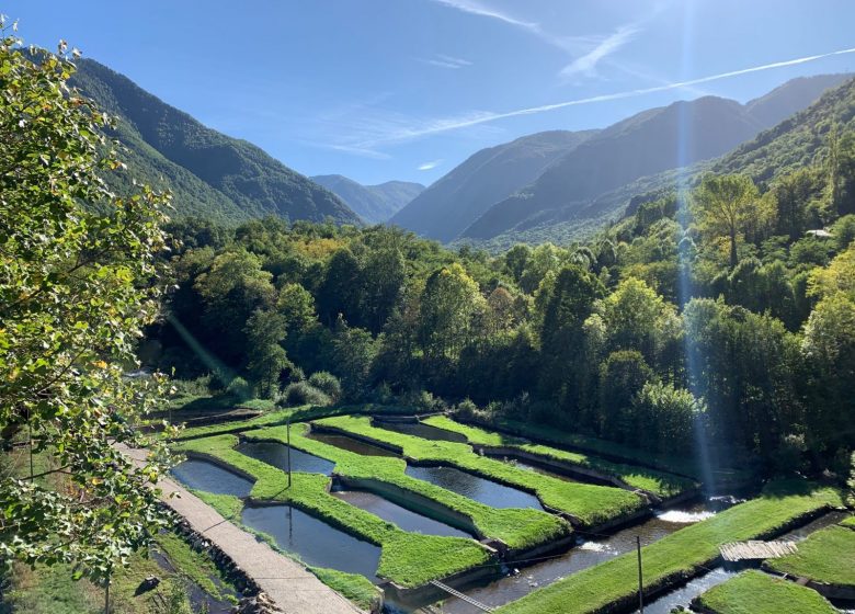 De la montagne à l ‘assiette