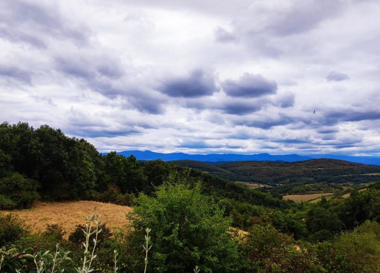 Gîte L’Oustalet des 5 Chênes