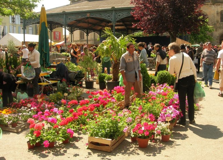 L’Oustal de Papé, le calme au cœur de Mirepoix