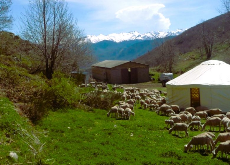 Ferme du Saladou