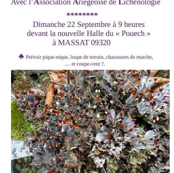 Sortie Lichens