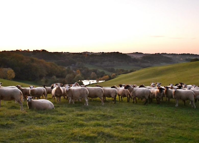 Gîte de Bergeaud