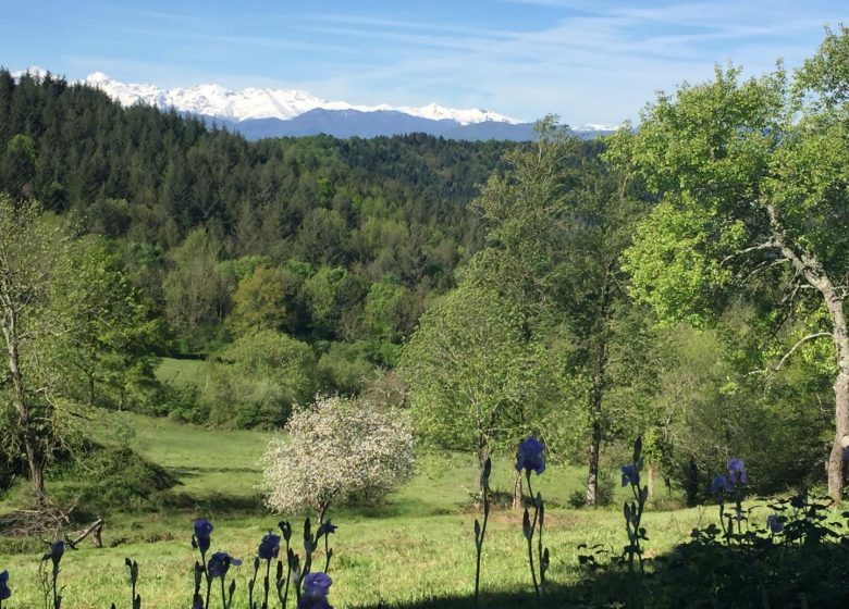 Gîte La Fount del Fer