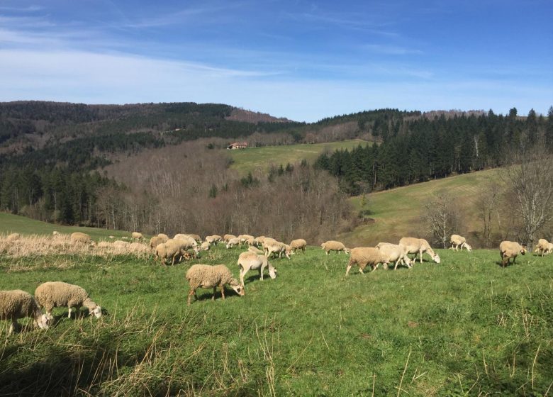 Gîte La Fount del Fer