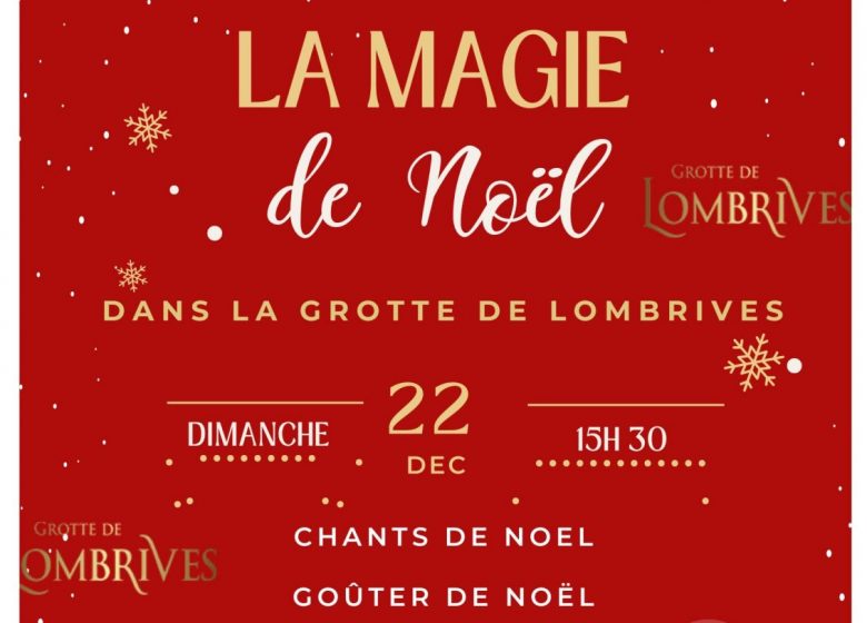 Spectacle de  NOEL: Déambulation concert et goûter gourmand