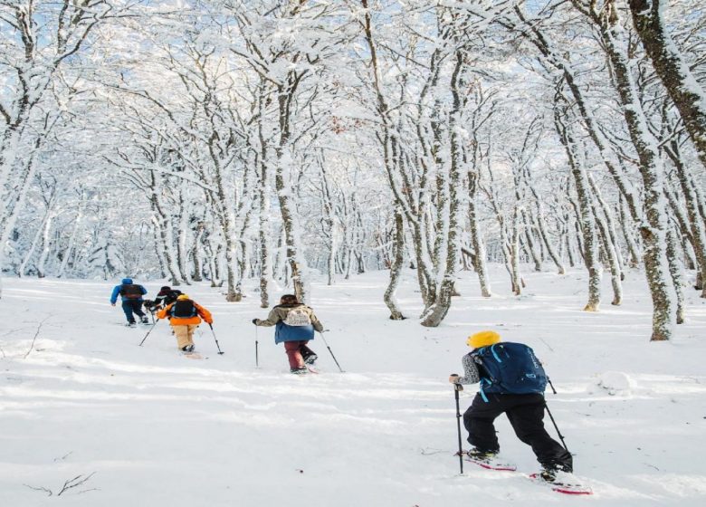 Evasion aux Monts d’Olmes – Séjour Escapade Hivernale au coeur de l’Ariège – SudFrance