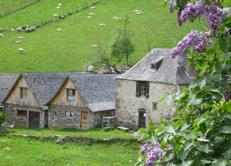 Gîte La Grange d’Arlette