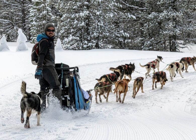 Chiens de traîneaux avec Angaka Village Nordique