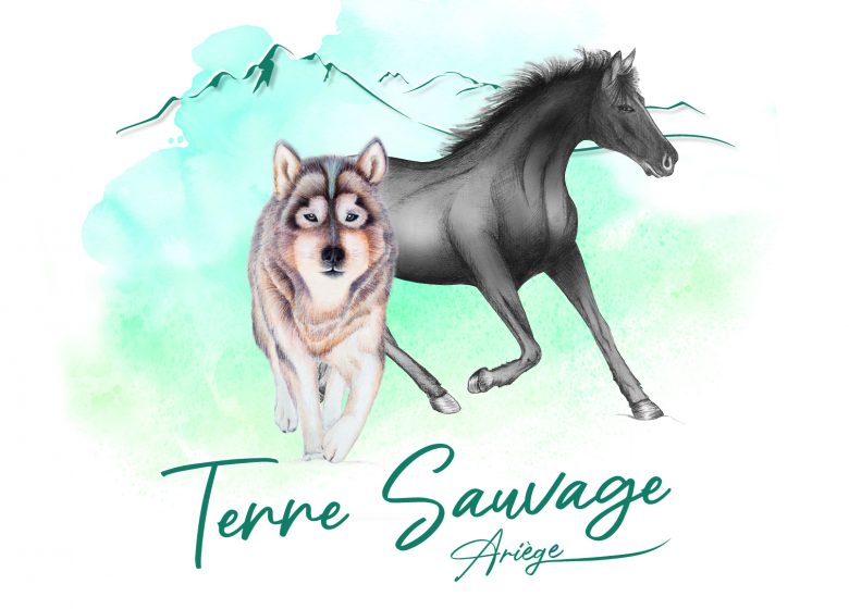 Initiation à la conduite d’attelage avec Terre Sauvage