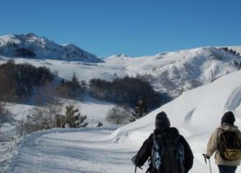 Raquettes et Balnéo dans les Pyrénées – Oxalys Randonnées