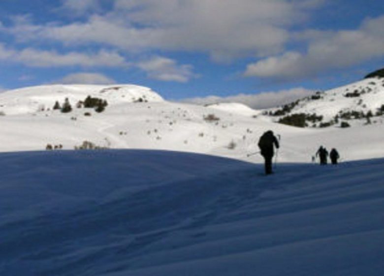 Raquettes et Balnéo dans les Pyrénées – Oxalys Randonnées