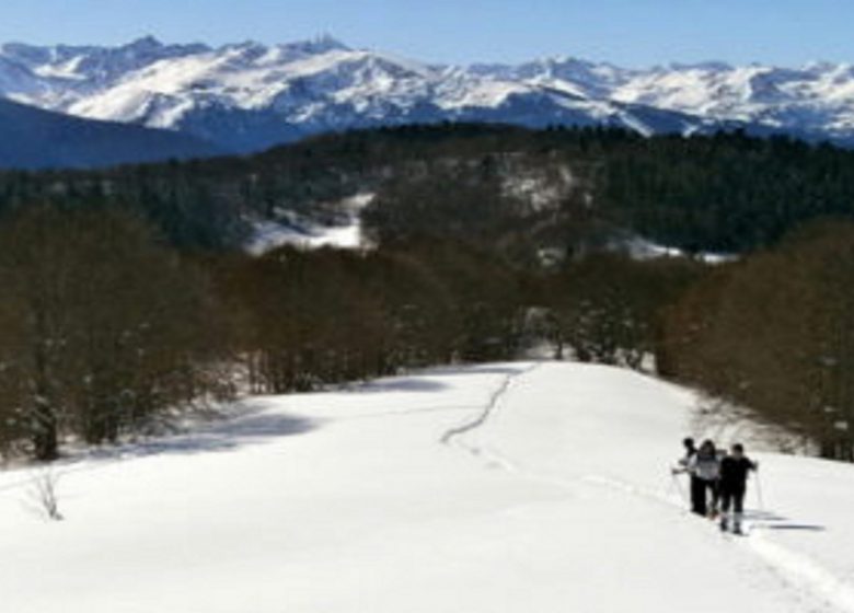 Raquettes et Balnéo dans les Pyrénées – Oxalys Randonnées